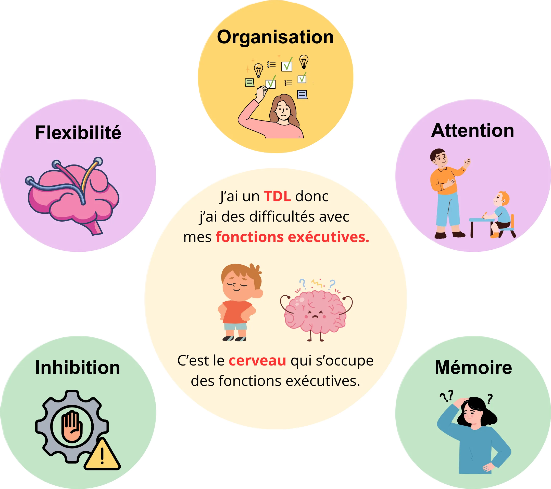 Diagram illustrating executive functions with labeled circles for Organisation, Attention, Memory, Inhibition, and Flexibility surrounding a central circle explaining difficulties with executive functions and the brain in a child with TDL.